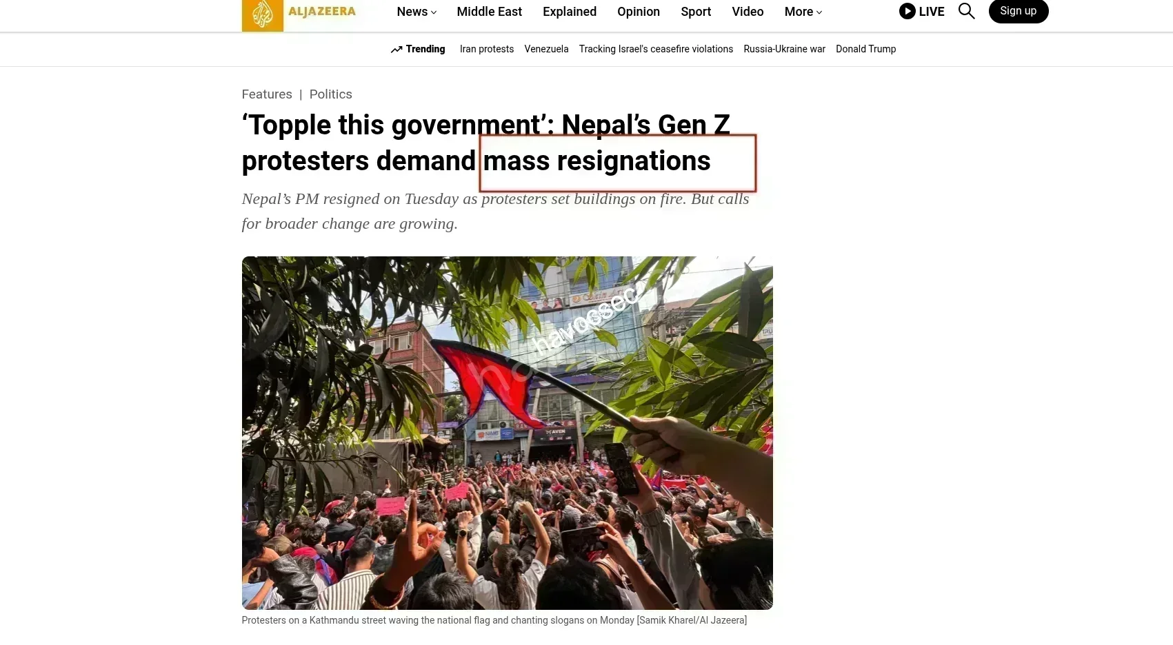 5.png