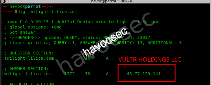 dig dns