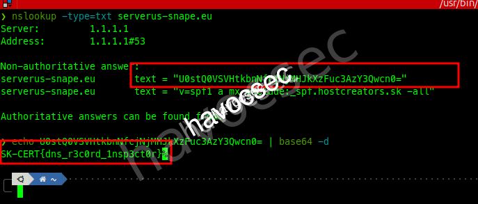 dns