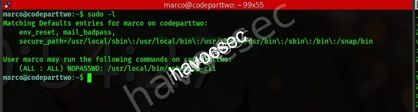 Sudo Version Check