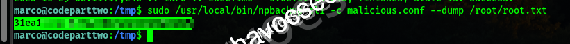 Privilege Escalation Success