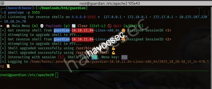 rootshellfromconffile.png