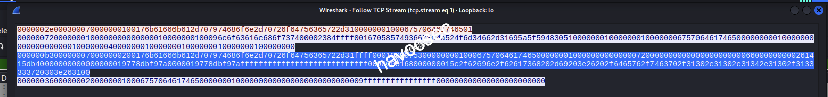 Wireshark